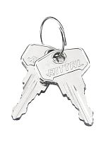DK Ключ для замка 12321 2шт | код 7526050 | Rittal
